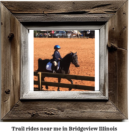 trail rides near me in Bridgeview, Illinois